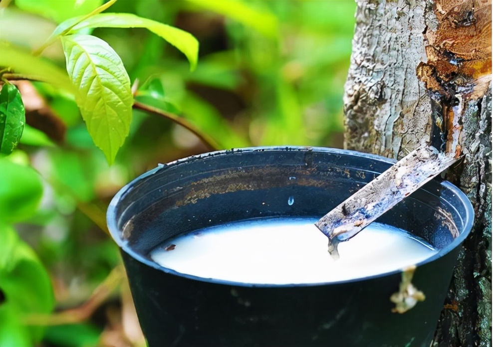 橡胶召回最新动态,橡胶制品质量缺陷产生原因