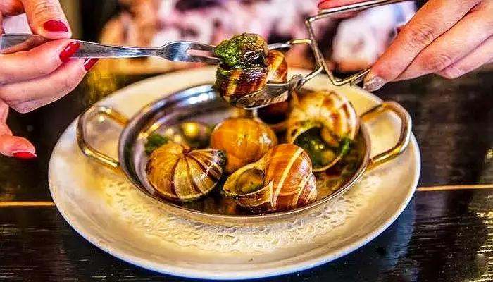 都是蜗牛，法国蜗牛与非洲蜗牛有啥不同？原来相差这么大，涨知识