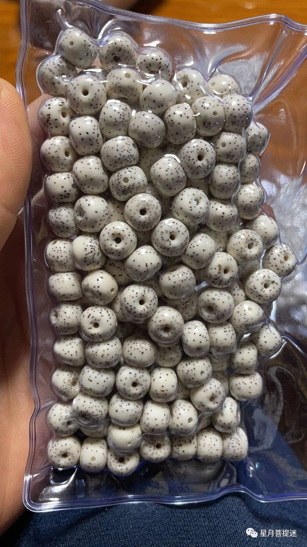 真正的星月菩提,顶级的星月菩提是玉化的吗