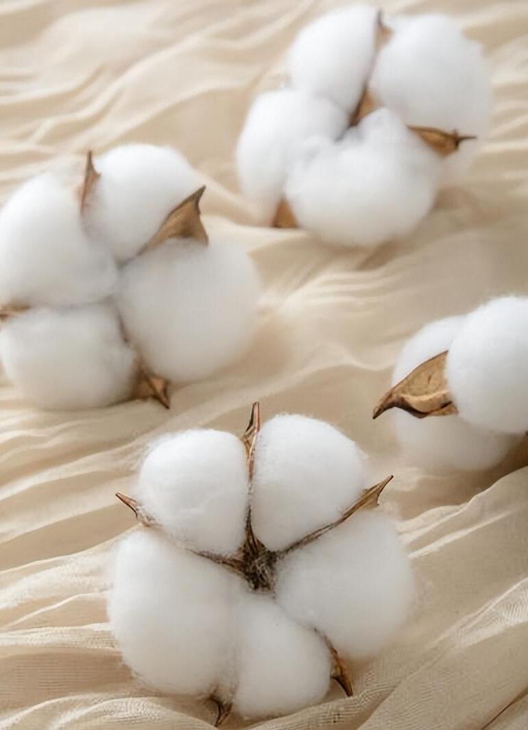 纯纯棉和全棉的区别,全棉和100%纯棉有什么区别