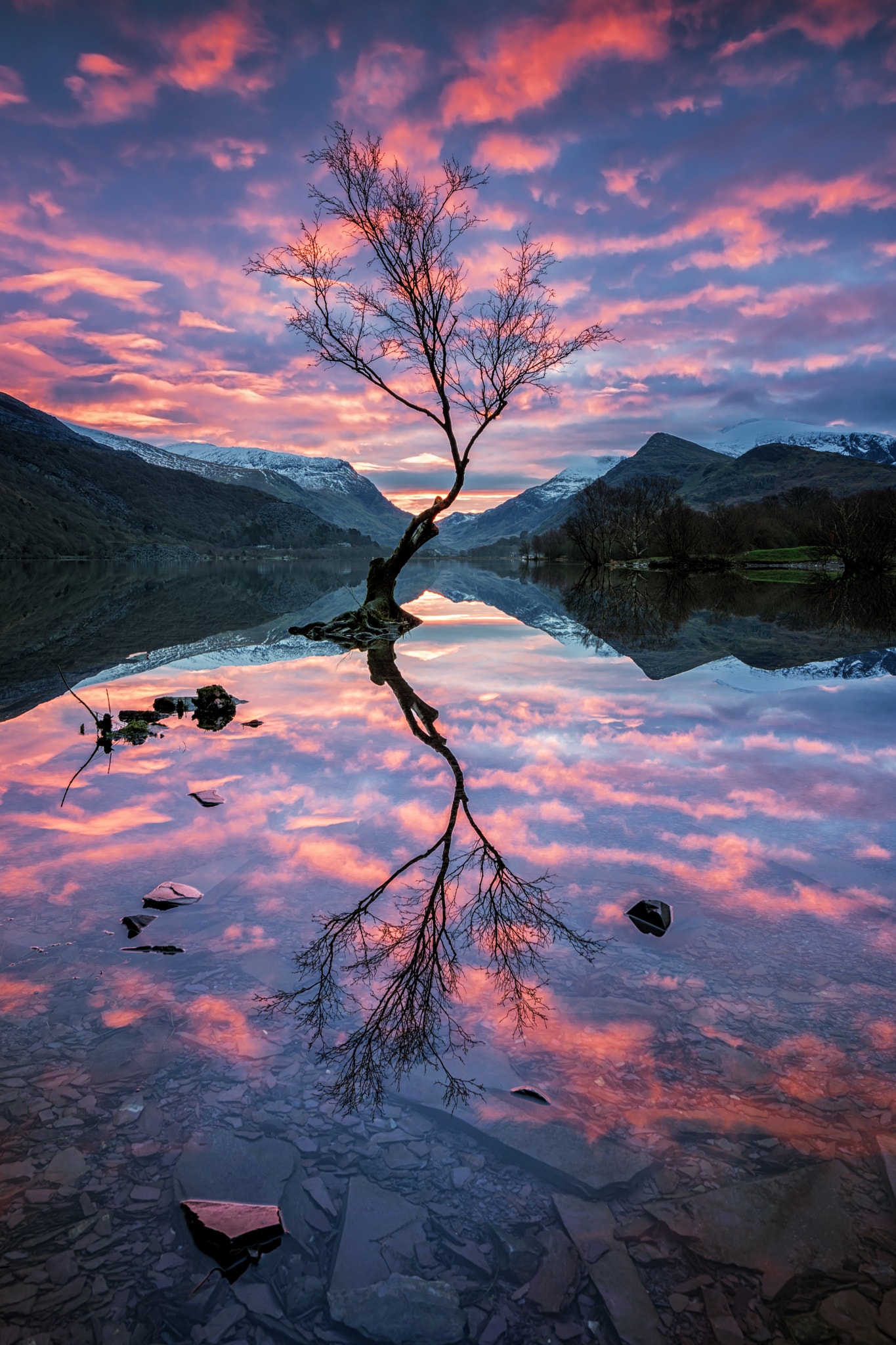 摄影五大景别简单介绍,风景摄影深度解析