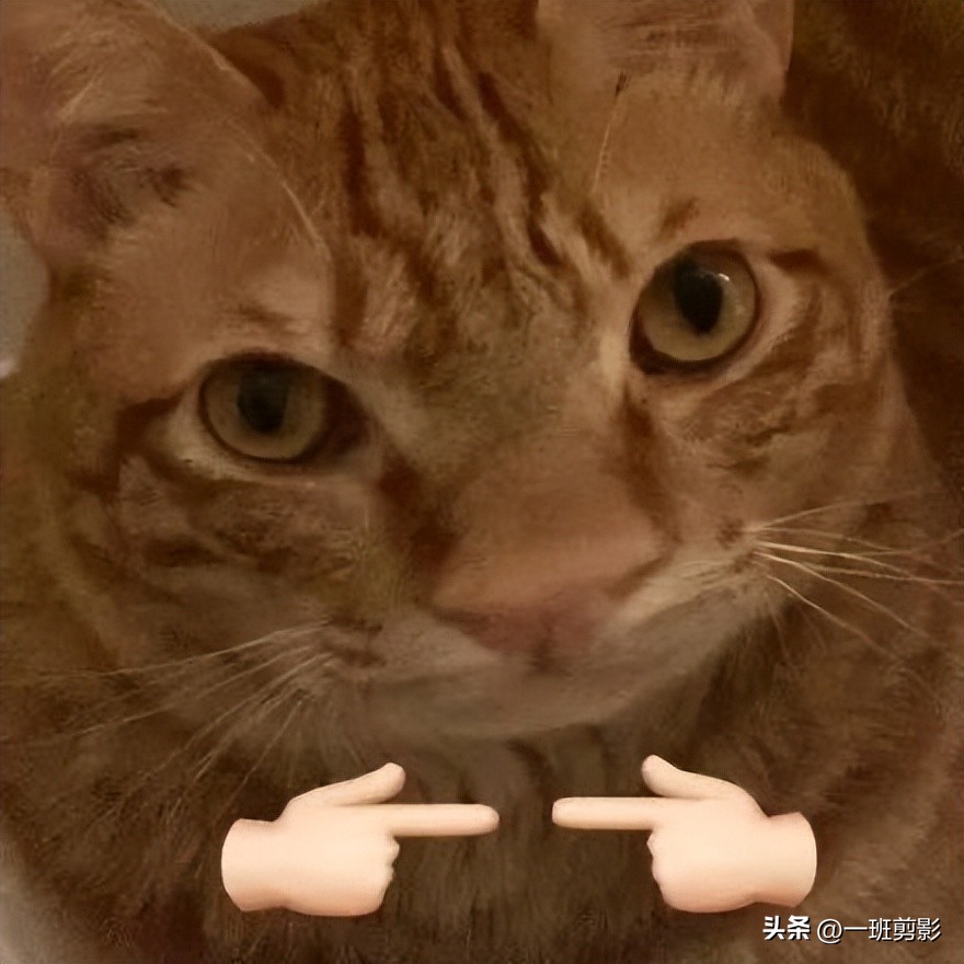 找女朋友的幽默搞笑段子,别人找对象的搞笑段子