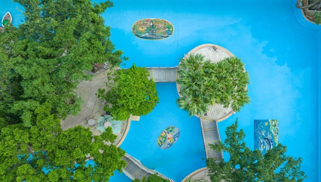 盛夏赴一场荷香之约,与夏天来场清凉的约会