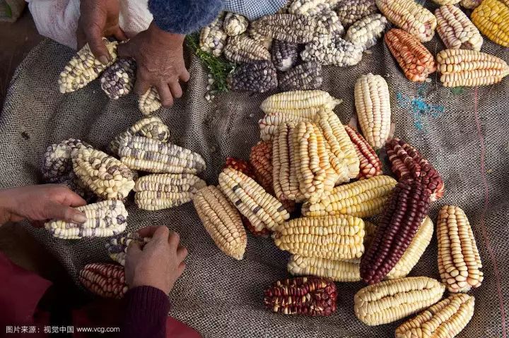 秘鲁这个国家怎么样了,秘鲁国家富裕还是贫穷