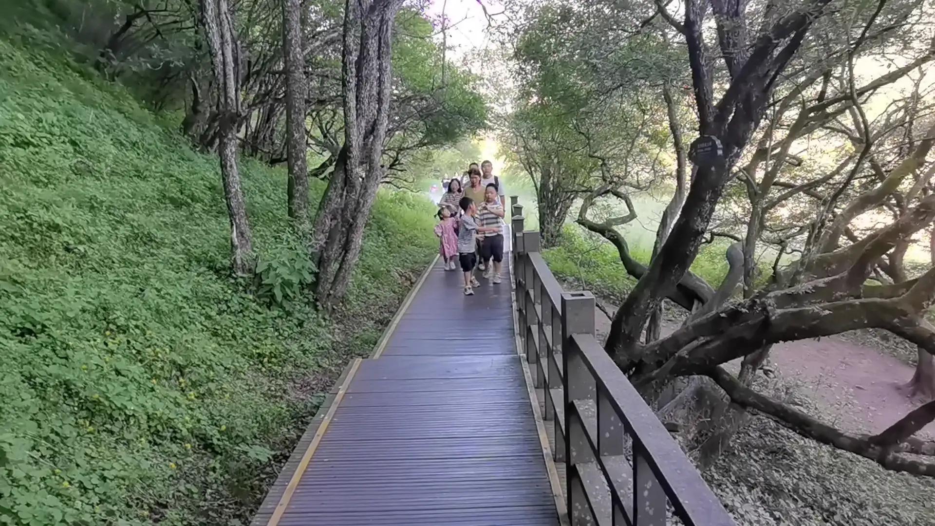 神农顶大九湖一日游价格,神农顶大九湖一日游