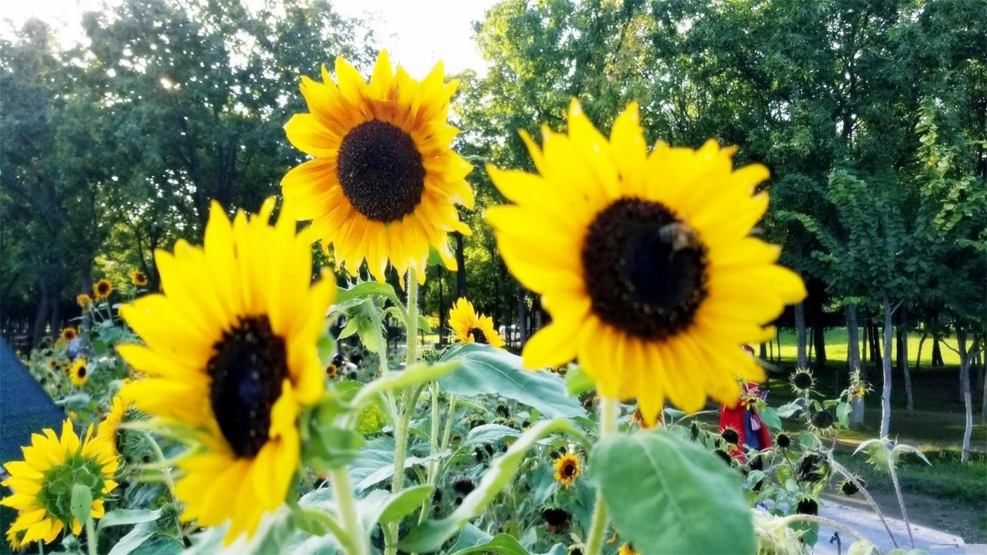 雨过天晴的惬意,雨过天晴很惬意的句子