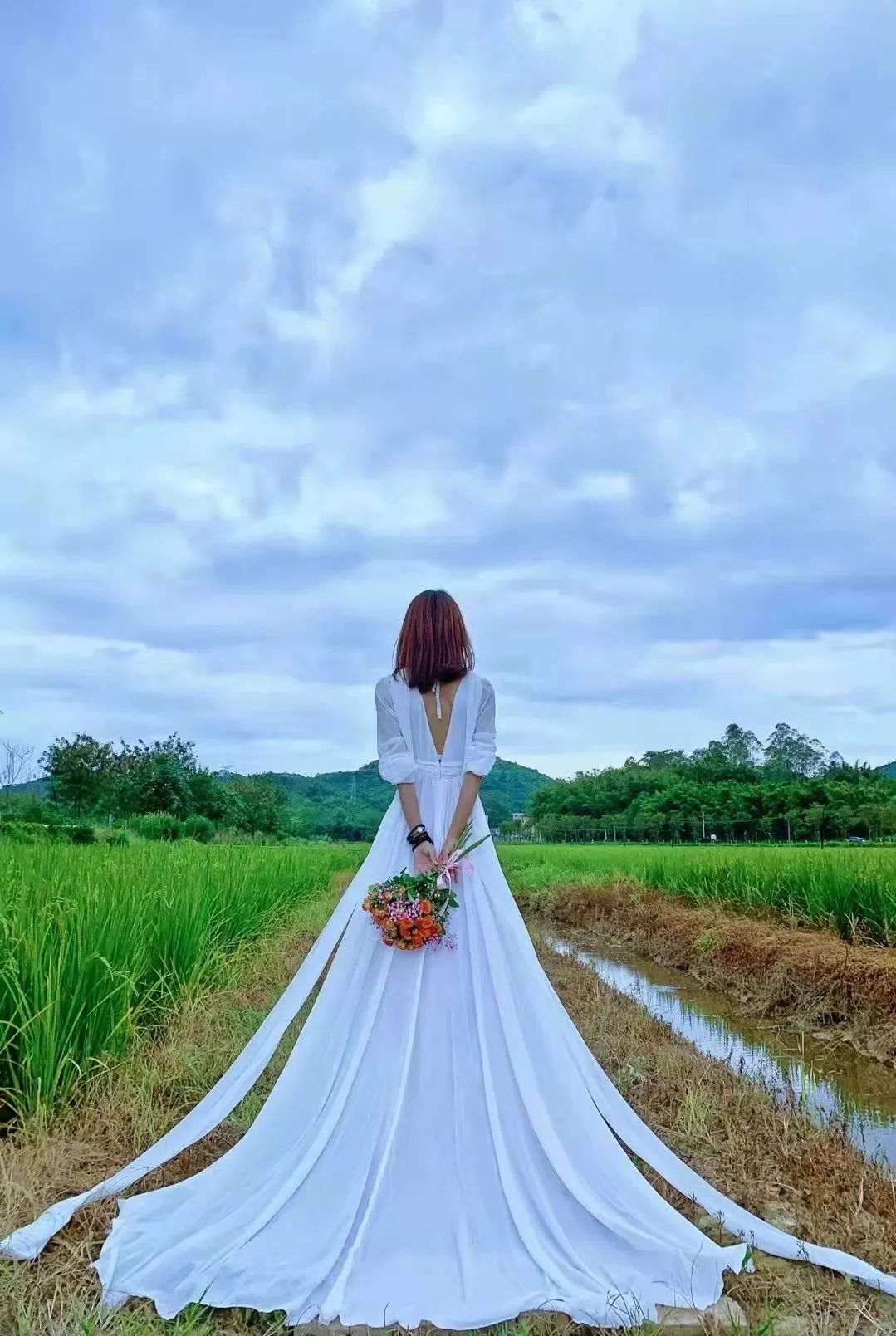 广州增城四季田园民宿,增城网红稻田民宿