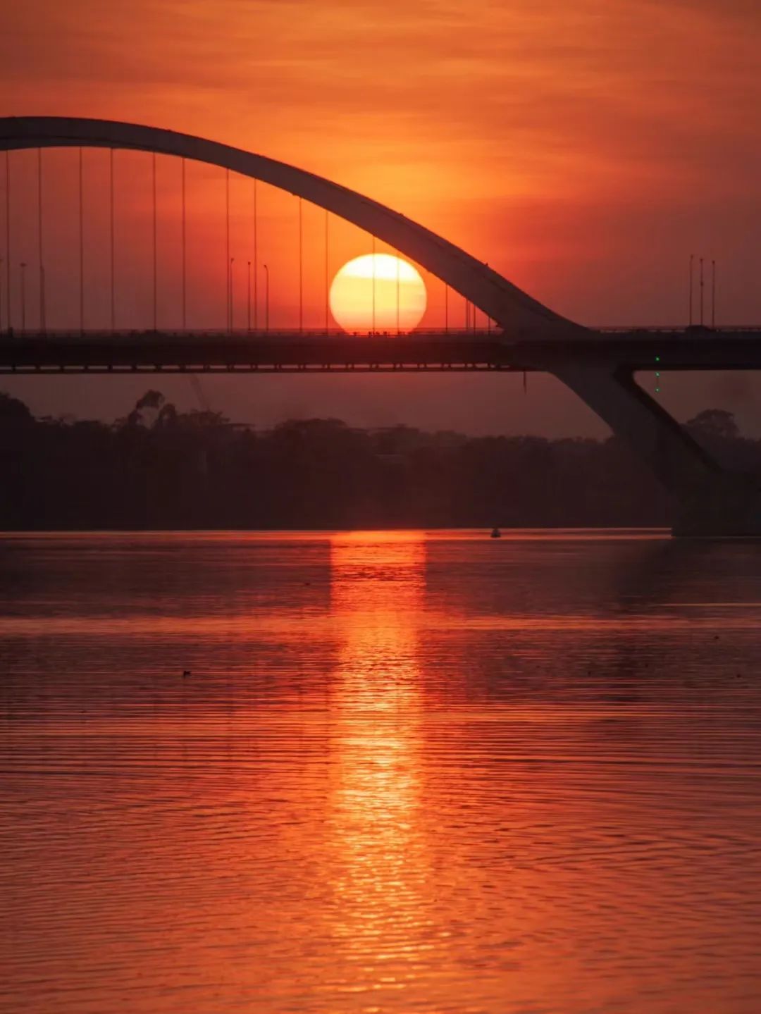 回到早睡早起的日子,回老家朝九晚五