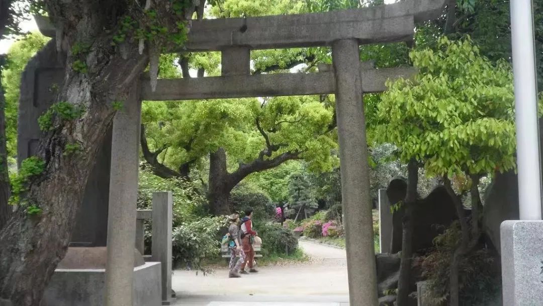 段哥福建,段哥跨境