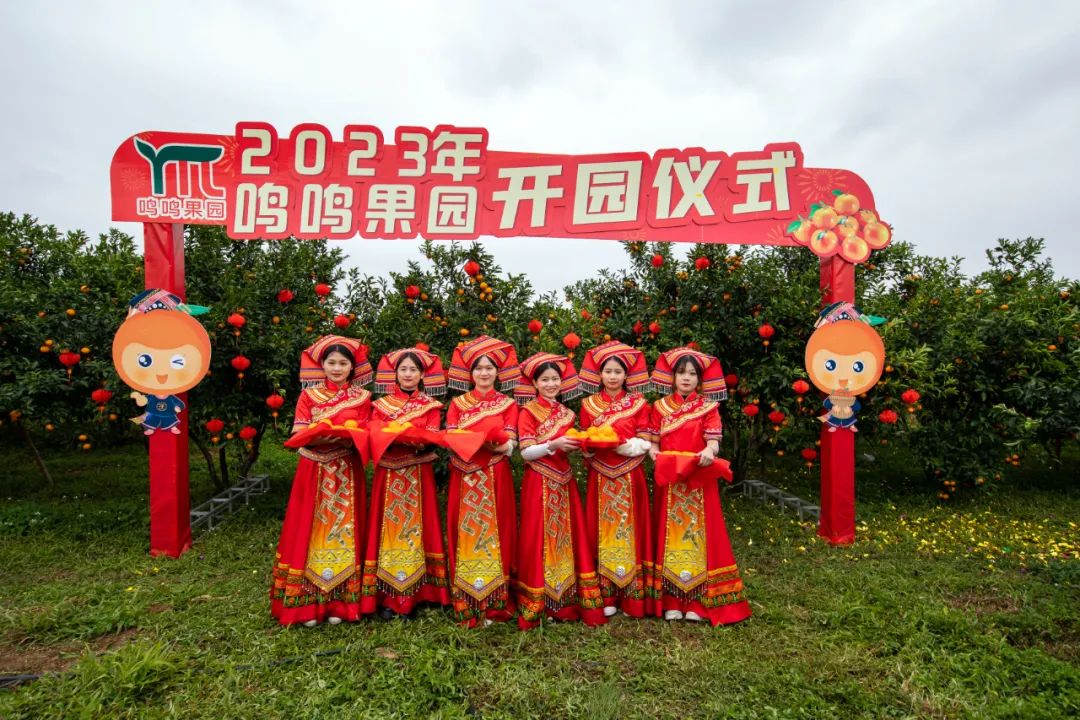 广西沃柑十大最甜柑橘,广西南宁柑橘类水果大量上市