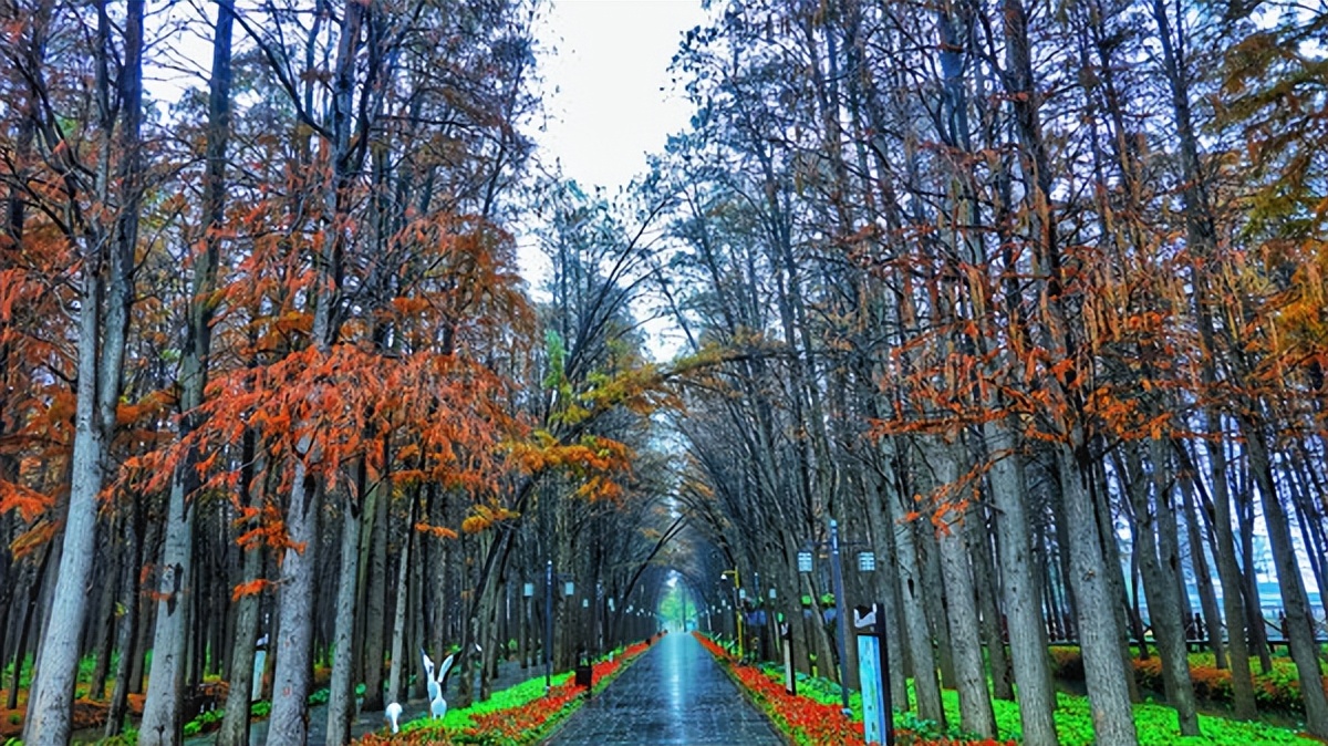 在江苏的“绿林仙海”中，寻找侠气与柔情