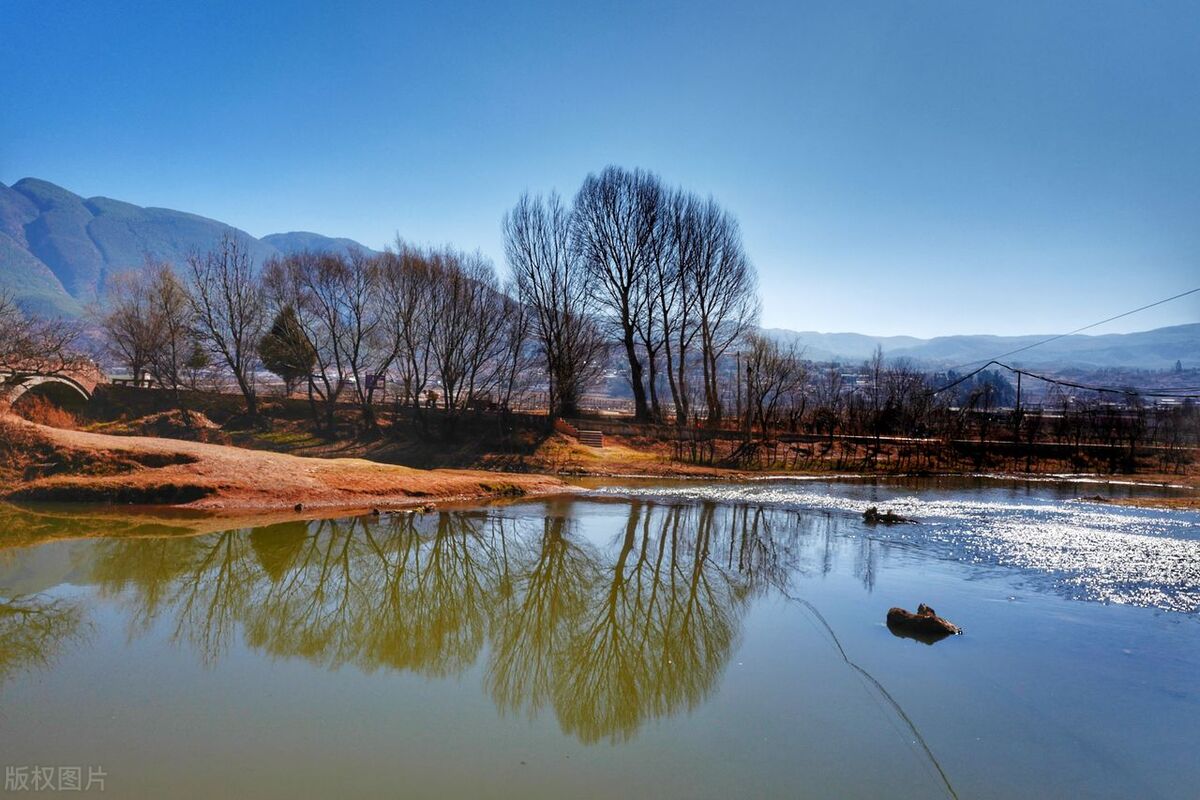 郭进拴作品大全,郭进拴全部视频