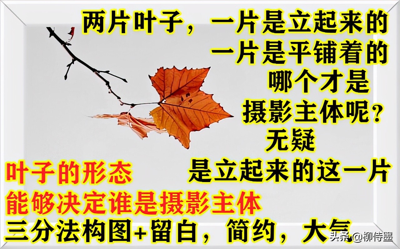 拍照不好看只要学会这些小技巧,摄影大师教你拍照技巧