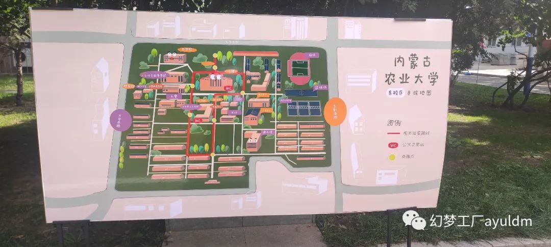 你好母校作文800字,你好母校作文