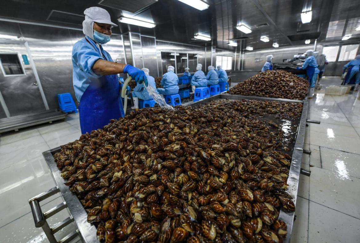 蜗牛可以做花肥吗,蜗牛做美容产品