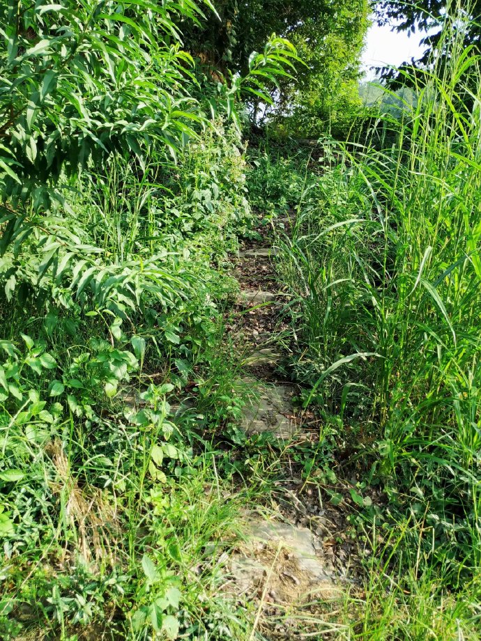 郴乐古道之水头江宜乐古道--广东省乐昌市庆云镇