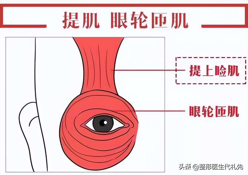40岁以后为什么眼睛变小了,年轻人眼睛变小了怎么回事