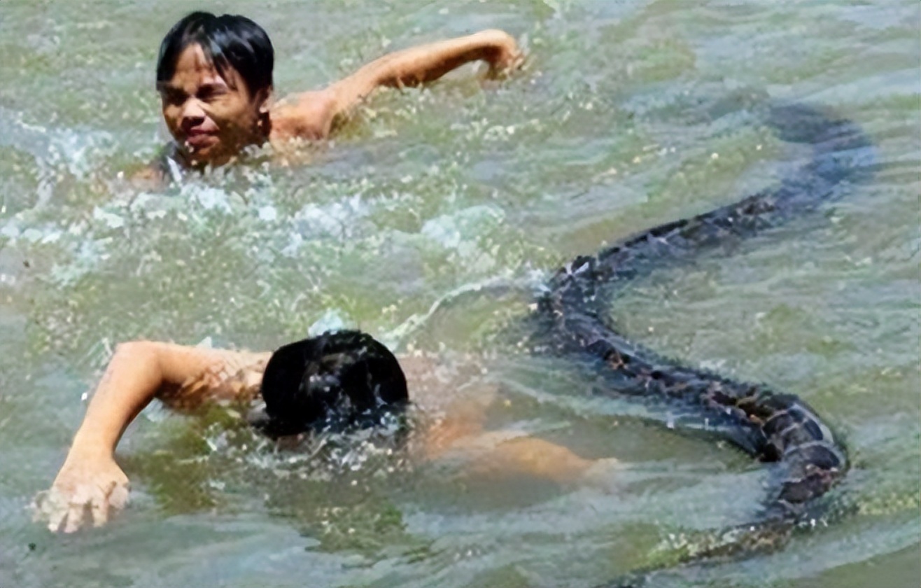 96年海南巨蟒,96年海南巨蟒事件真实情况