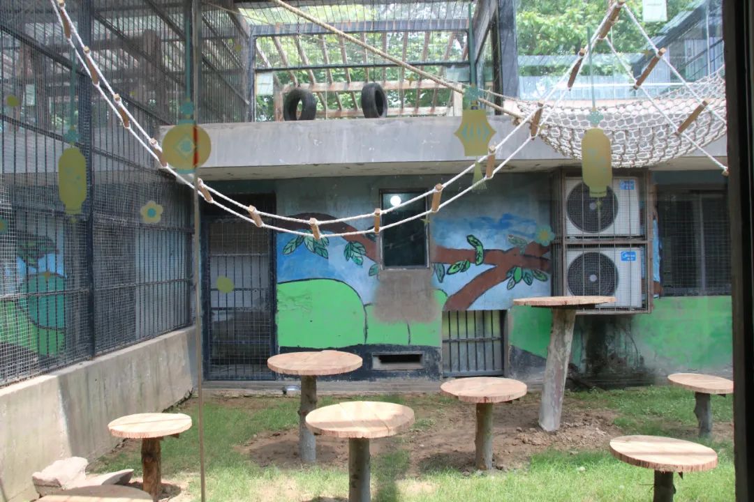 淮安动物园位置,淮安动物园多大面积