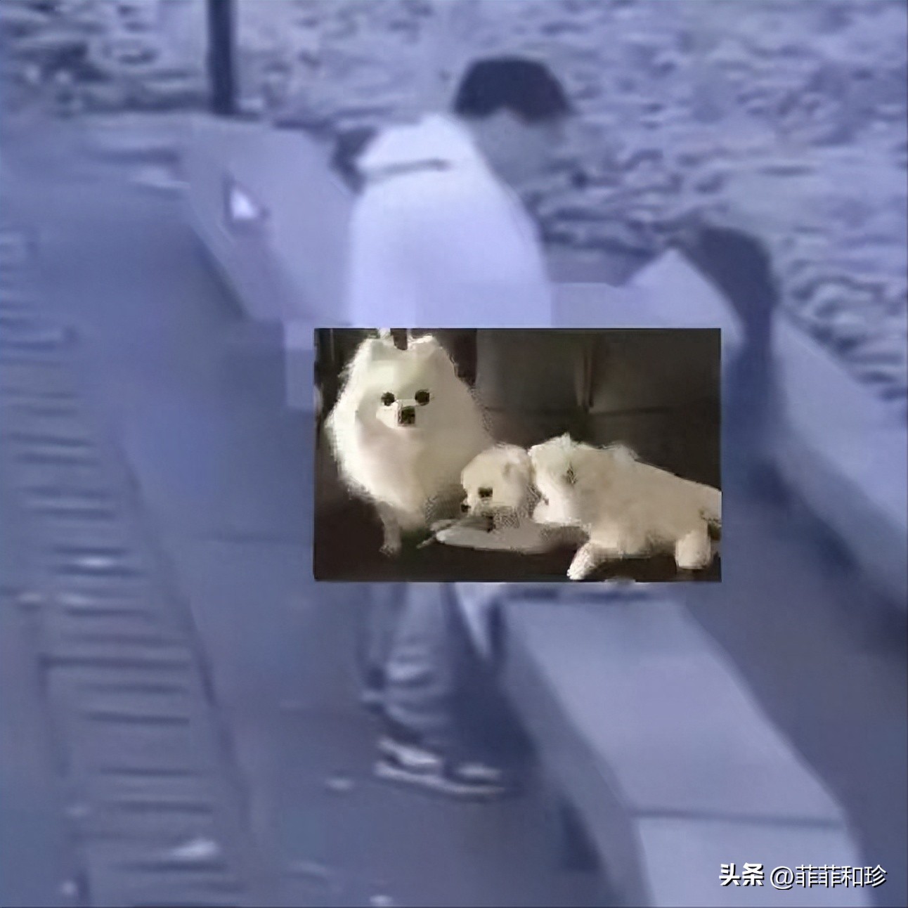 常熟森林防火中心淫秽视频后续：传播视频者被抓，男女见面都不好