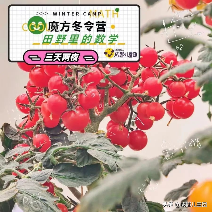 I’mfine“兔”|儿童团新年寒假活动清单来啦！好书／趣物／精品项目已就位……