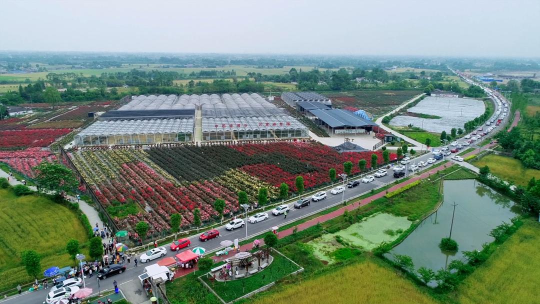 绵竹风景最好的地方在哪 (赏花一日游最佳去处绵竹)