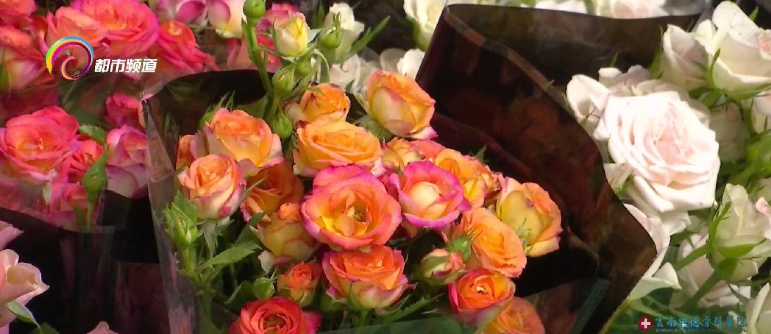 价格腰斩！斗南鲜花销售进入淡季，商户降价销售！