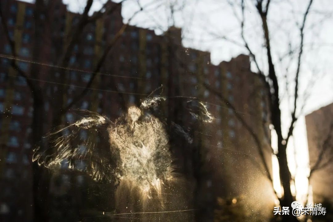 古镇摄影大赛获奖名单,北京摄影大赛获奖照片