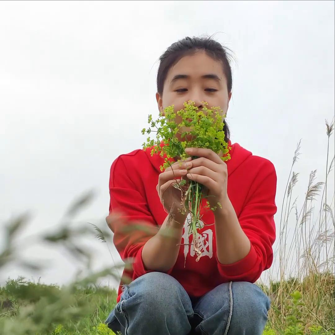 大学生返乡创业例子简短一点,2020年返乡大学生在农村创业