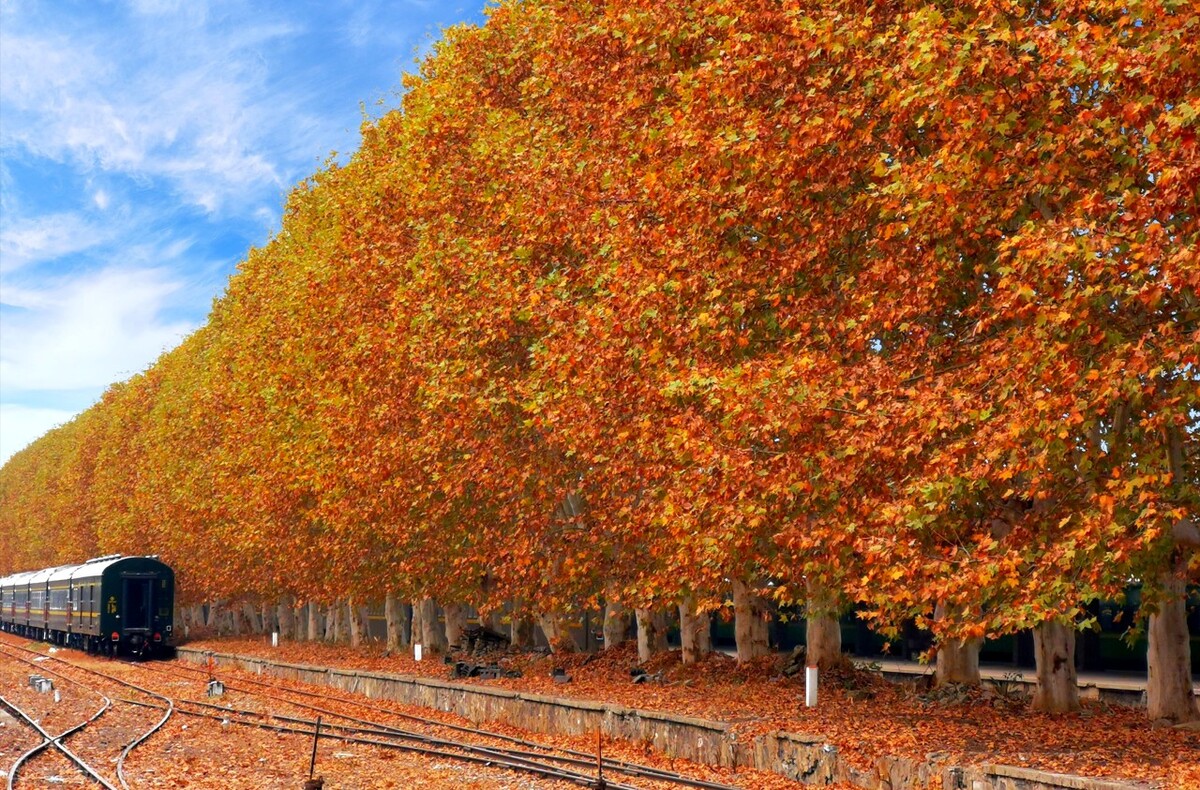 大补五脏阴虚的一个方子,肝肾严重亏虚经典药方