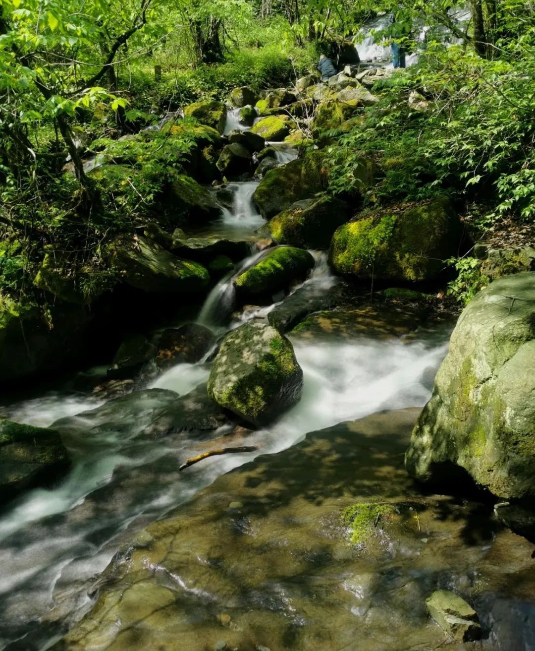 中国名作家采风活动走进襄阳,中国著名作家采风团