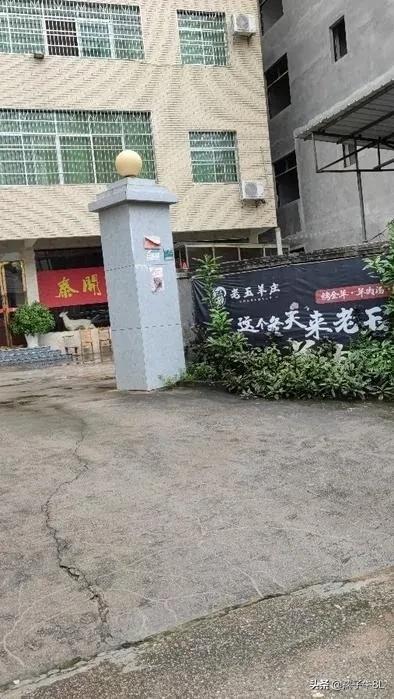 打工十年一场空养羊三年变富翁,十年打工一场空三年养羊成富翁