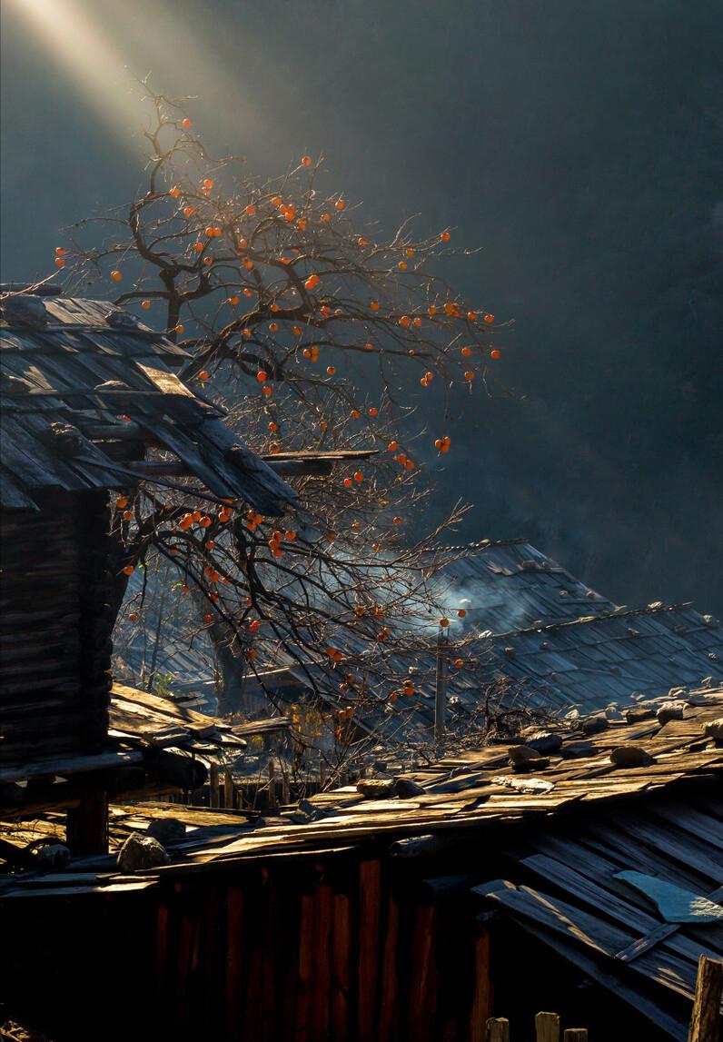 冬宜密雪有碎玉声,冬宜密雪有碎玉声全文