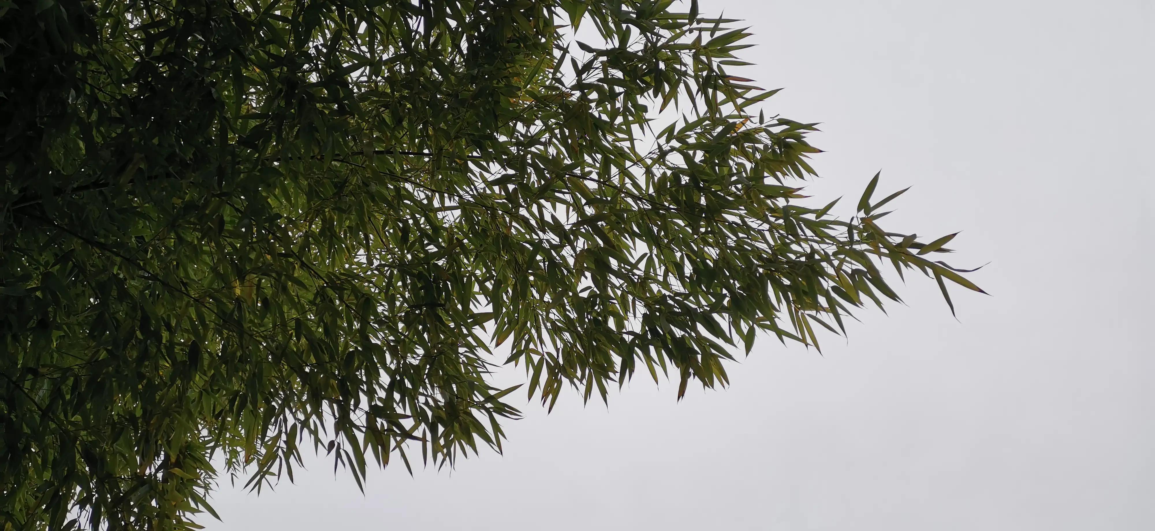 幽默笑话搞笑段子图片大全高清,幽默笑话大全经典搞笑段子下载