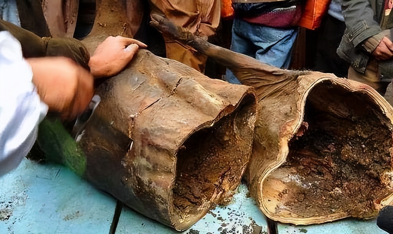 四川臭猪肉悬挂房梁30年,四川臭猪肉对人有什么危害