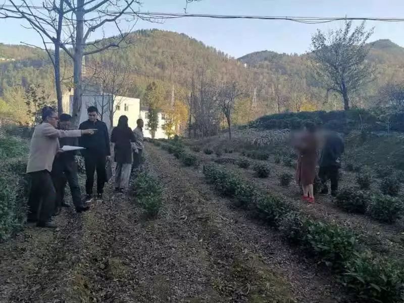 只有农村才有的邻里关系,只有农村才有温暖的气息