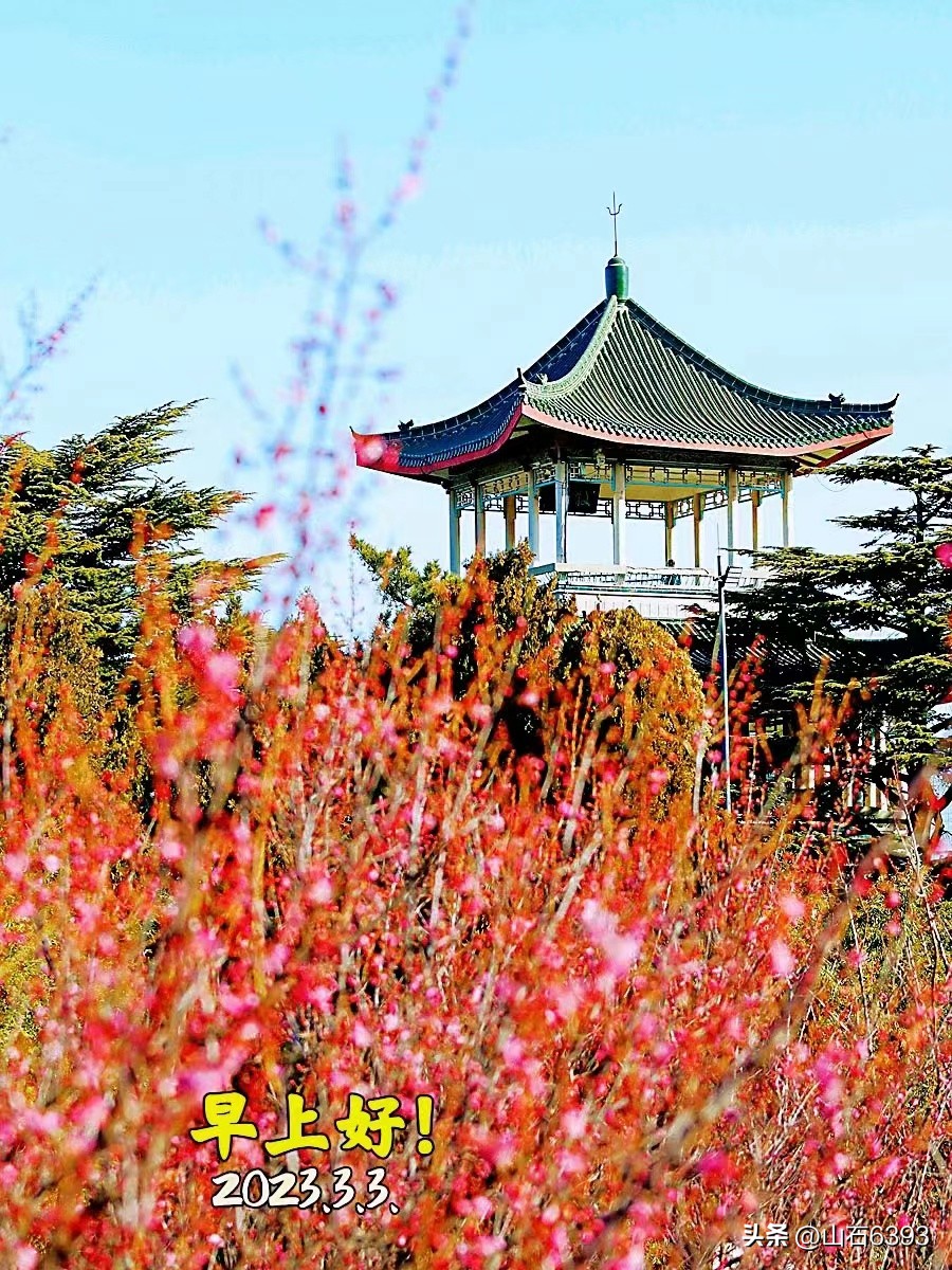 【战友美文】郭福成(天王福哥):《*梦春**》(诗)