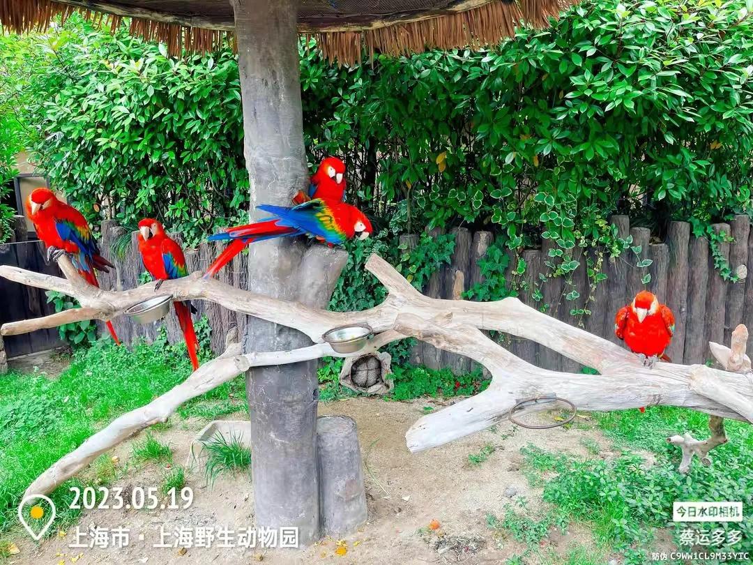 中国最大的野生动物园是哪个城市,中国最大野生动物园