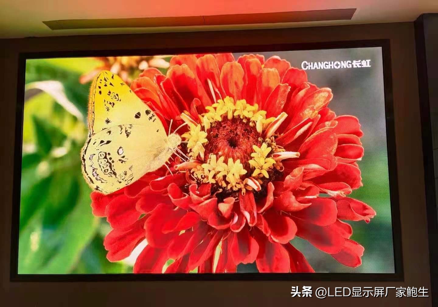 led屏p2.5是什么意思,led显示屏p2.5和p1.86有什么区别