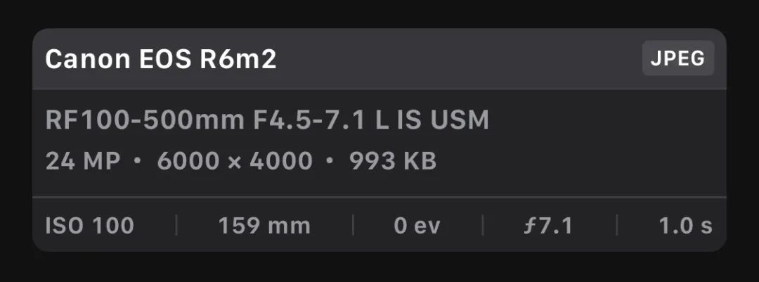 佳能eosr6markii相机镜头推荐,佳能eosr6mark2直出