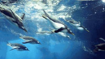 厦门旅游攻略自由行厦门老院子,厦门老院子民俗文化风情园简介