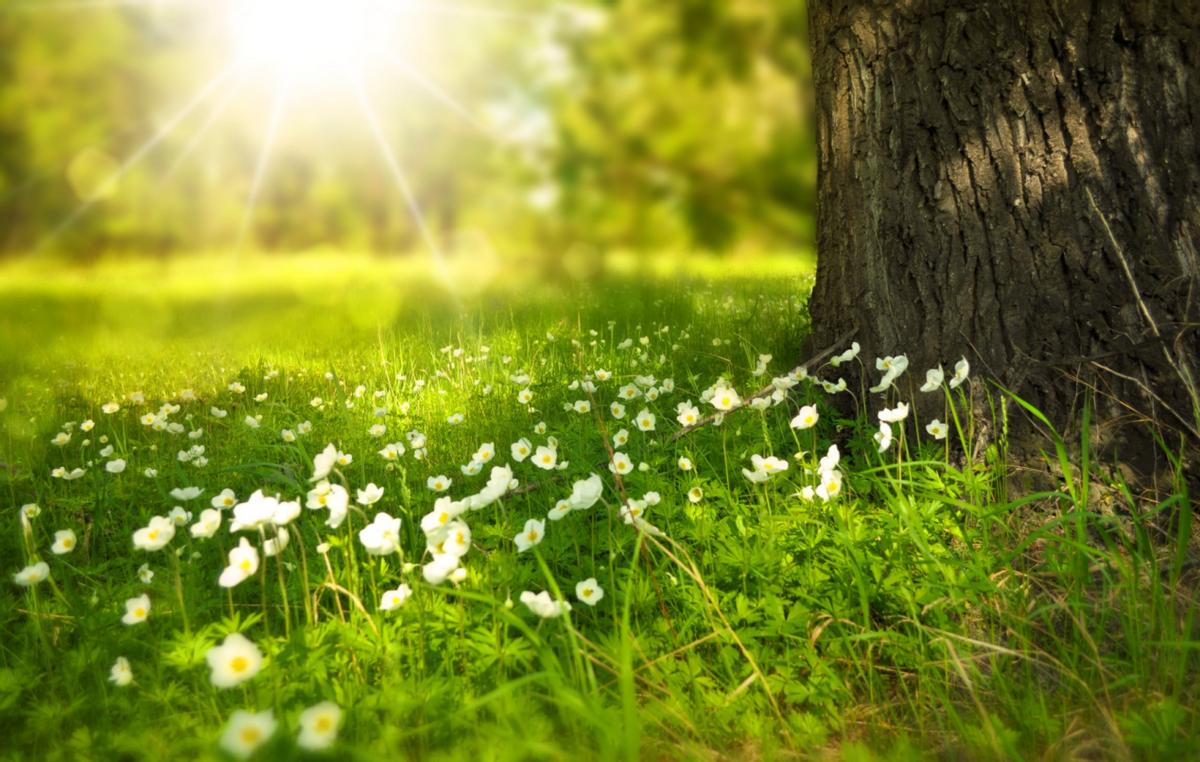 人老先老腿一定要把膝盖养好,冬季老寒腿患者如何养护膝关节