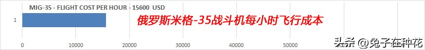 瑞典JAS-39鹰狮战斗机VS俄罗斯米格-35战斗机