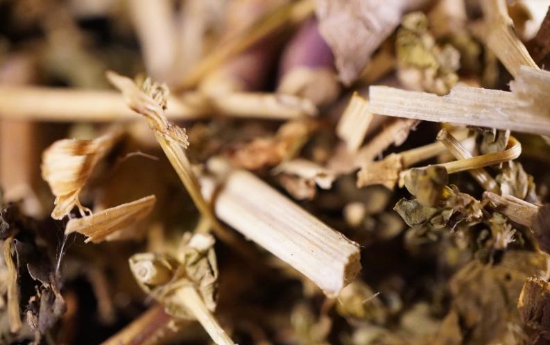 中医消除肺部结节的方法,中医如何调理肺部结节