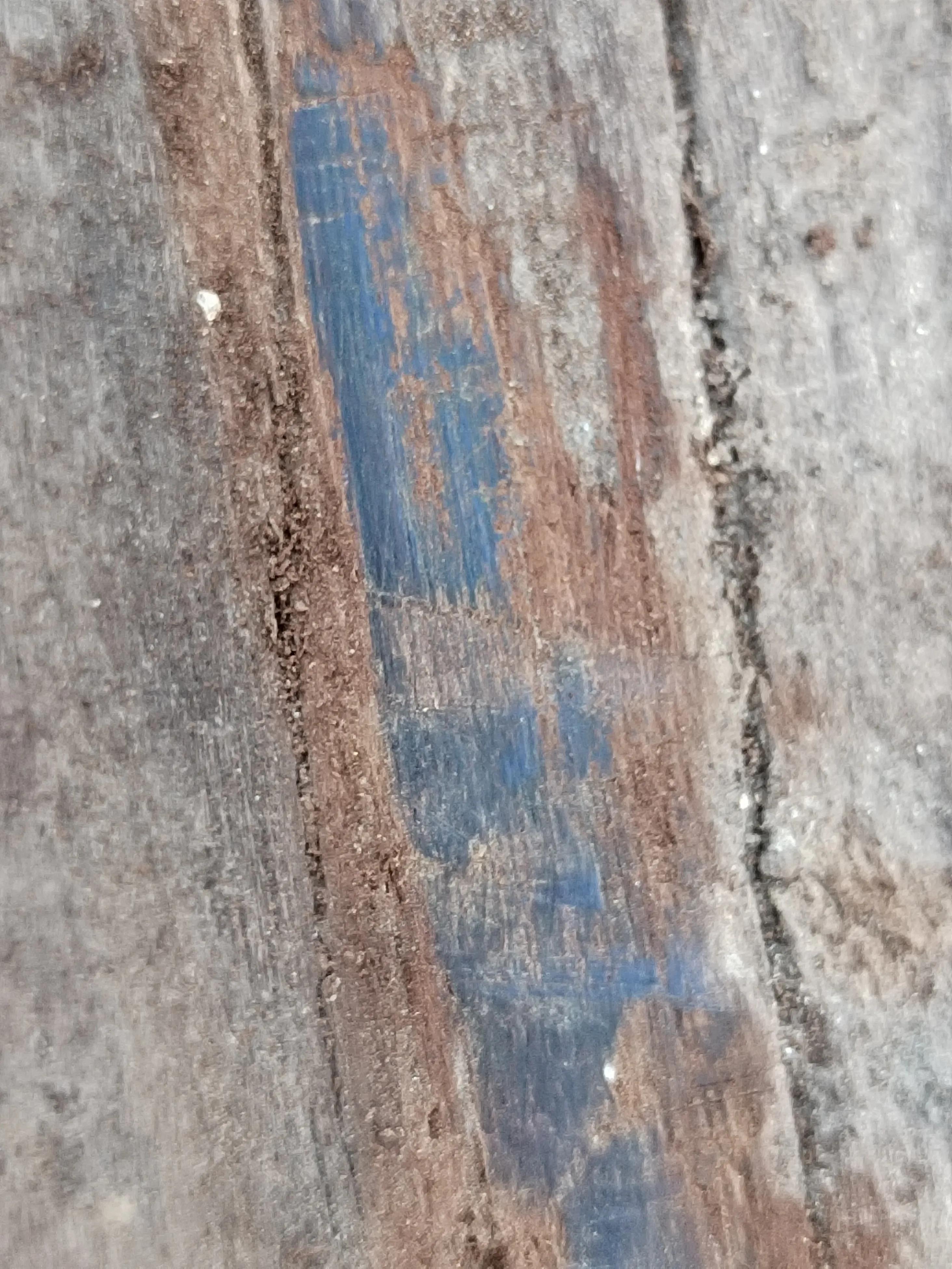 白奇楠莺歌绿奇楠黑奇楠哪个好,黑奇楠和白奇楠沉香哪个好