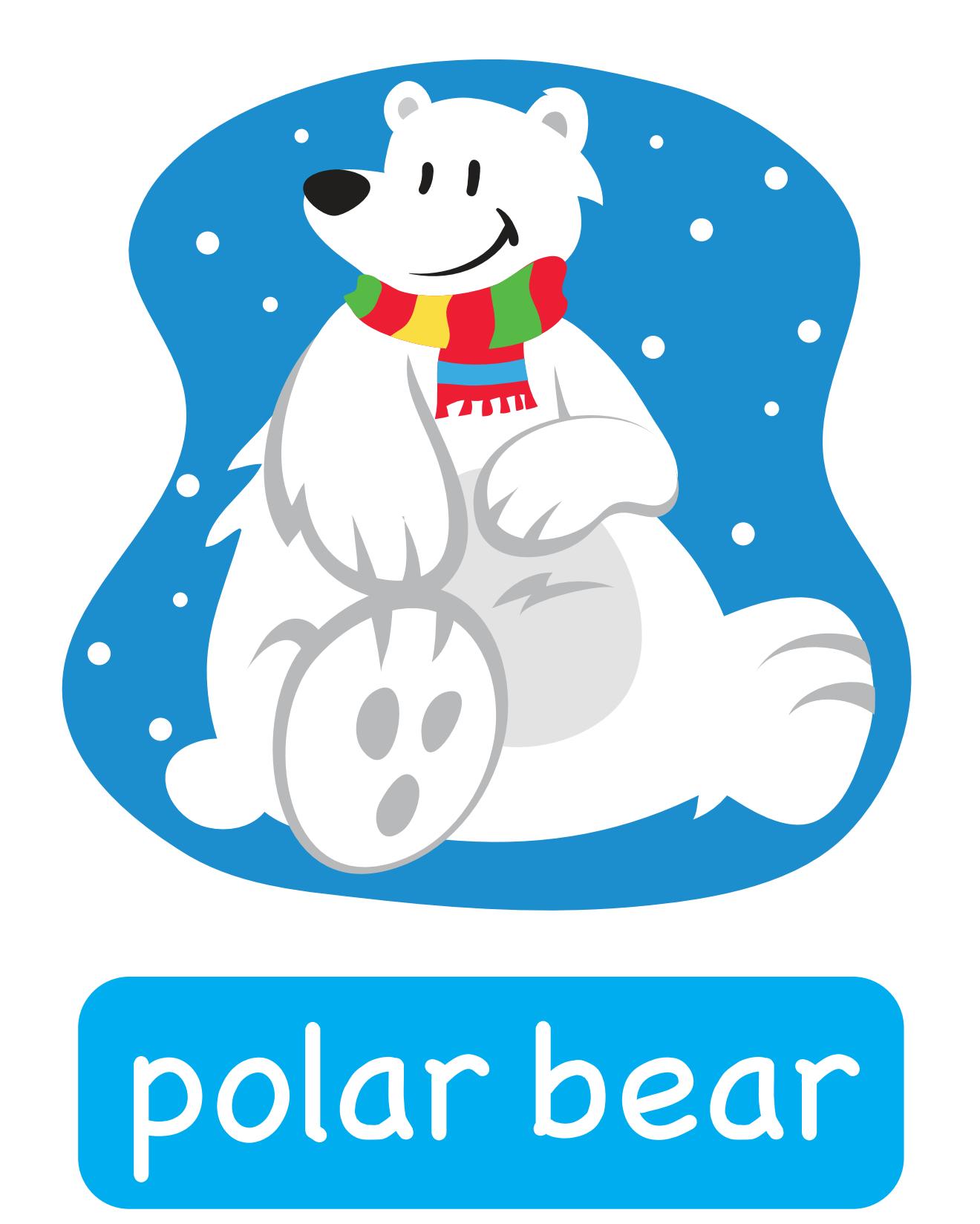 图说英语单词：高清动物类卡片，一图一单词