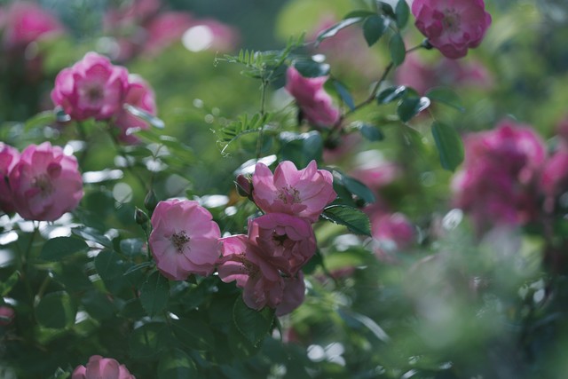 谈婚论嫁男方需要准备什么,准备谈婚论嫁需要做什么