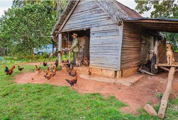 古巴人民是怎么生活的,古巴人民的社会福利怎样