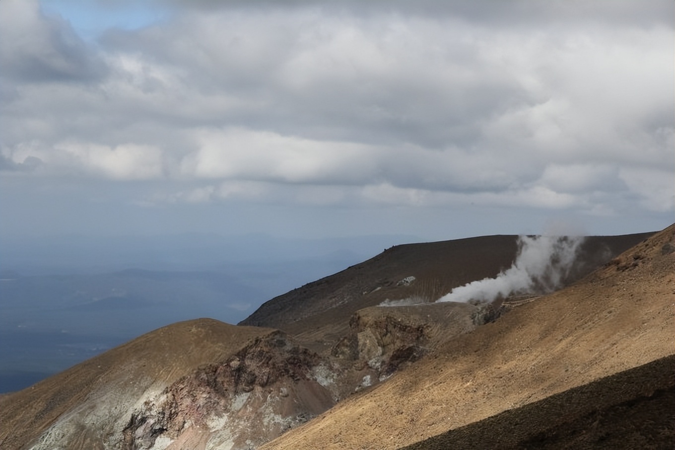 出国去新西兰打工旅游攻略,新西兰打工旅游指南