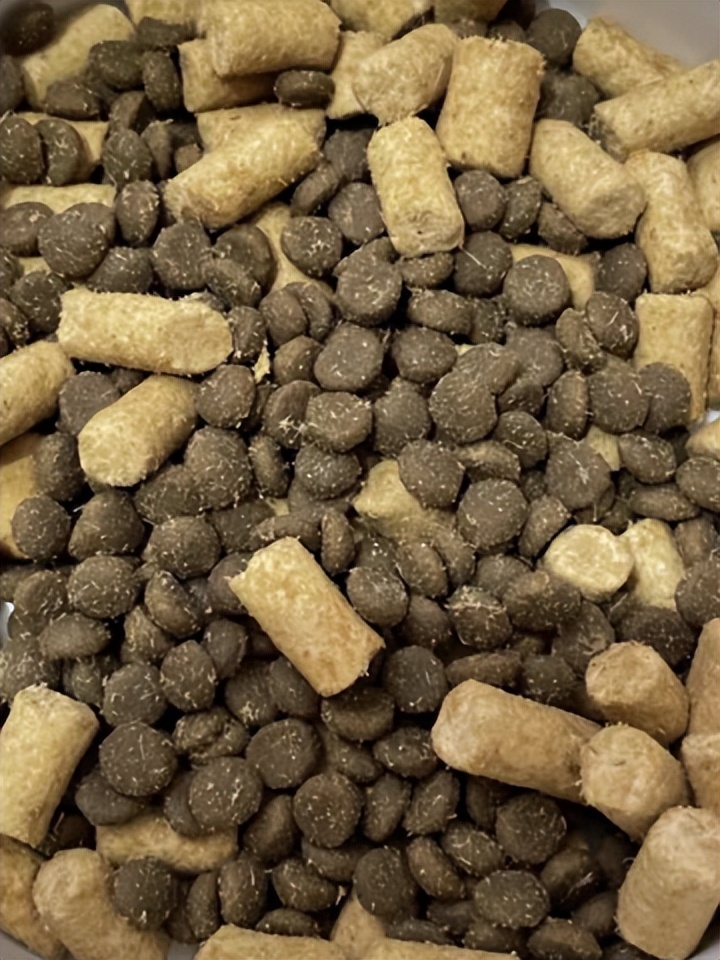 猫达猫粮测评,21款好猫评测